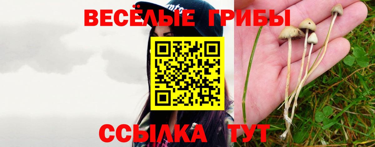 Псилоцибиновые грибы Cubensis  Галлюциногенные грибы мухоморы  Вход с VPN  магазин продажи наркотиков  Соль-Илецк 