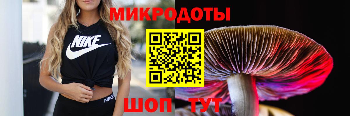 Галлюциногенные грибы Magic Shrooms Соль-Илецк